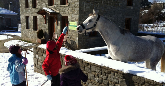 Zagori Guesthouse rooms Amanitis