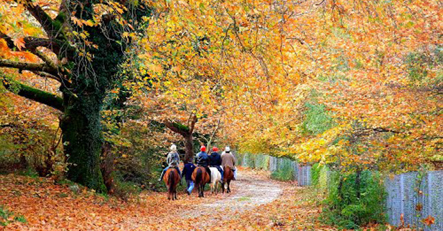 Zagori Guesthouse rooms Amanitis
