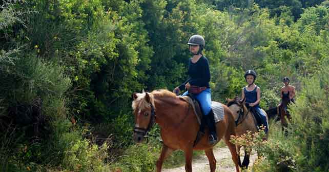 Zagori Guesthouse rooms Amanitis