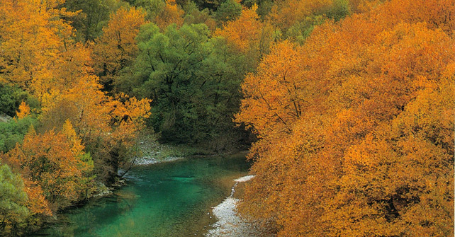 Zagori Guesthouse rooms Amanitis