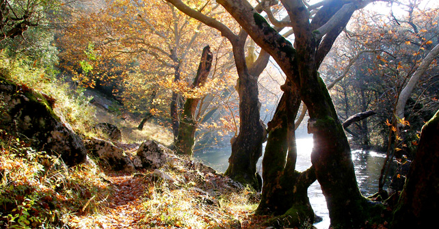 Zagori Guesthouse rooms Amanitis