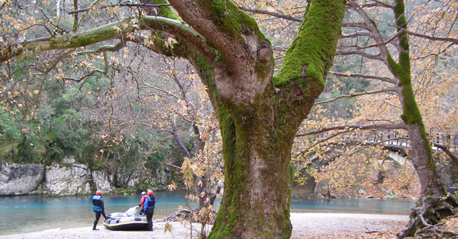 Western Zagori - Guesthouse Amanitis Zagori