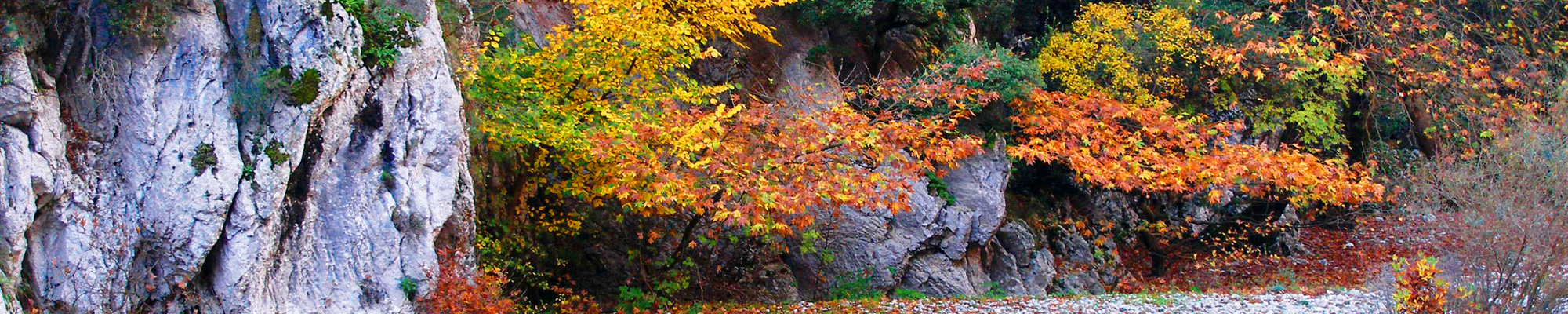 Western Zagori - Vovousa