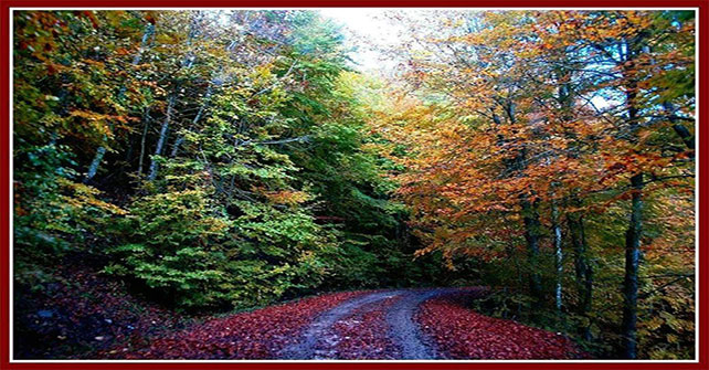 Zagori Guesthouse rooms Amanitis